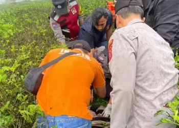 Mayat seorang wanita ditemukan di semak perkebunan teh di cianjur