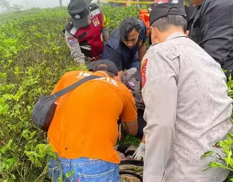 Mayat seorang wanita ditemukan di semak perkebunan teh di cianjur