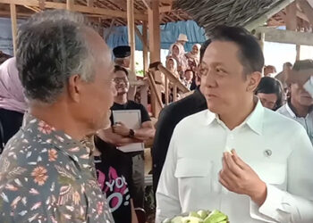 Diaz Hendropriyono - Wamen LH/BPLH