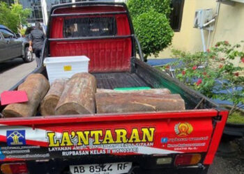 Penahanan Pencuri 5 Potong Kayu di Gunungkidul Akhirnya Ditangguhkan