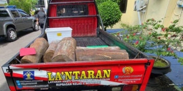 Penahanan Pencuri 5 Potong Kayu di Gunungkidul Akhirnya Ditangguhkan
