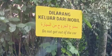 Viral Pengunjung TSI keluyuran di Area Terlarang, TSI : Ada Sanksi Permanen