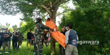 Seorang Pria di Cijeruk Bogor di Temukan Tergantung di Pohon