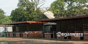 Habiskan Anggaran Empat Milyar, Proyek Setu Kemang Terbangkalai