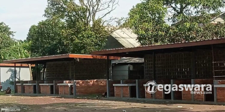 Habiskan Anggaran Empat Milyar, Proyek Setu Kemang Terbangkalai