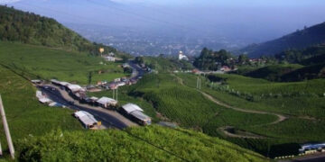 WALHI : Pemda Harus bersikap Atasi Maraknya Pembangunan Villa dan Resort di Puncak