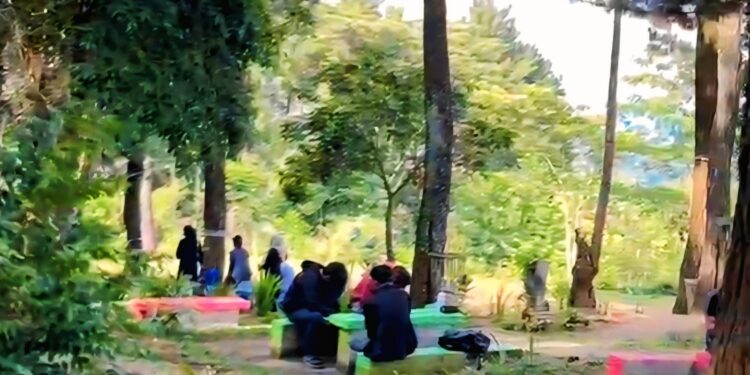 Wisata Alam Seureuh Hejo, Destinasi murah Meriah