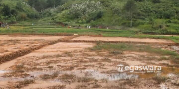 Tambang Cemari Lingkungan di Cihaur, Pemkab Sukabumi Akan Bersikap