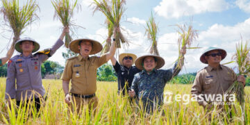 Ketua DPRD Kota Bogor : Panen Raya Serentak Komitmen Bersama Mewujudkan Ketahanan Pangan