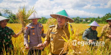 Panen Raya Daring Bareng Presiden, Dedie Rachim Siap Dukung Ketahanan Pangan Nasional