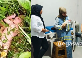 Bayi Perempuan di Temukan Warga di Semak, Kondisi Masih Hidup