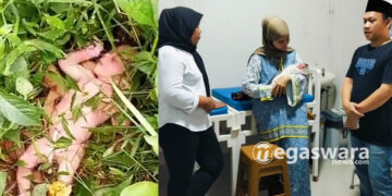 Bayi Perempuan di Temukan Warga di Semak, Kondisi Masih Hidup