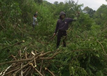 Komunitas Gularis Mulai Bergerak Buka Lahan Pertanian Dan penataan Sungai Untuk Wisata