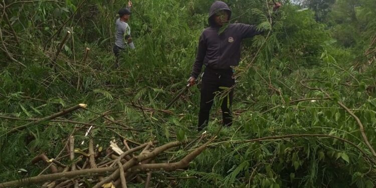 Komunitas Gularis Mulai Bergerak Buka Lahan Pertanian Dan penataan Sungai Untuk Wisata