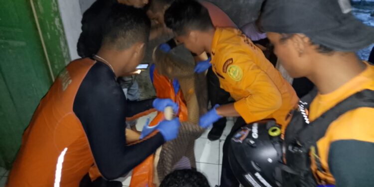 Erwin Korban Tenggelam Sungai Cimandiri ditemukan Meninggal Dunia