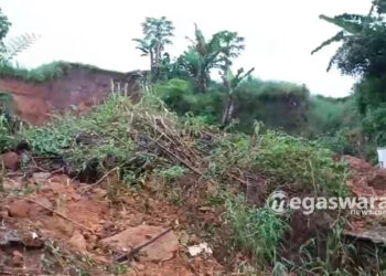 Longsor Tutup Akses Jalan di Perumahan Tiara Regency, Warga dan Petugas Lakukan Evakuasi Material