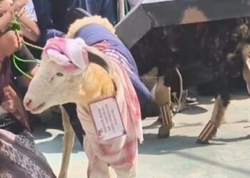 Ponpes Al-Fath gelar Festival Rias Domba