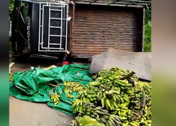 Mobil Pick Up Bermuatan Pisang Terguling di Sukaraja, Warga dan Damkar Evakuasi Kendaraan