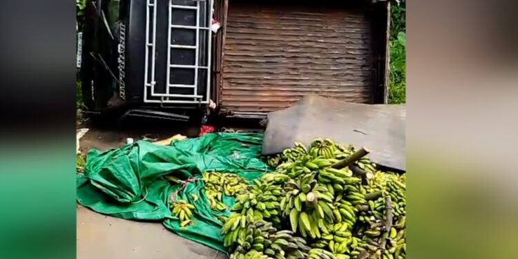 Mobil Pick Up Bermuatan Pisang Terguling di Sukaraja, Warga dan Damkar Evakuasi Kendaraan