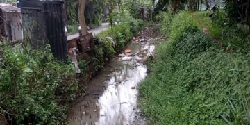 Irigasi di Ciseeng Tersumbat Sampah, Warga dan Petani Minta Pemerintah Segera Bertindak