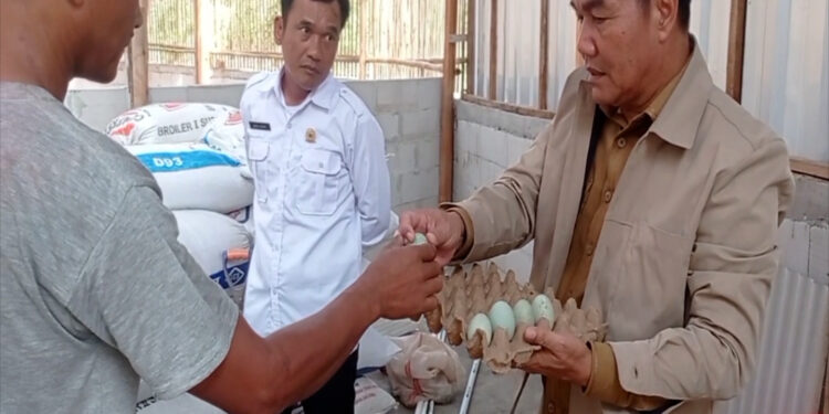 Kembangkan Ketahanan Pangan, Desa Kemang Siap Suplai Telur Asin