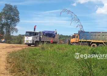 Eks Lahan Tambang Semen Kembali Dipenuhi Alat Berat