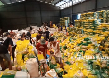 Beras Bulog di gudang Dramaga Bogor