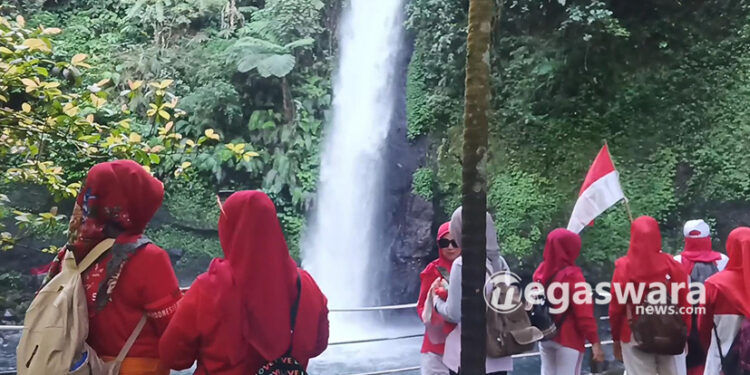 Curug Sawer, Surga Tersembunyi di Hutan Situgunung