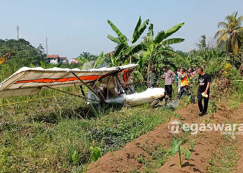 puing Microlight Fixedwing Quicksilver GT500