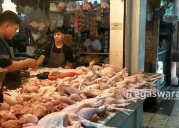 Harga Ayam Potong di Pasar Cigombong Naik Tajam, Pedagang Mengeluh Omzet Anjlok