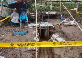 Kemenhut Gelar Operasi PETI di Kawasan Gunung Halimun Salak, Hasilnya Temukan 88 Lubang Liar