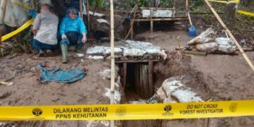 Kemenhut Gelar Operasi PETI di Kawasan Gunung Halimun Salak, Hasilnya Temukan 88 Lubang Liar