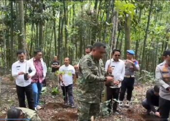 Bupati Bogor Apresiasi Inisiatif Warga yang menyulap hutan gundul jadi hutan organik