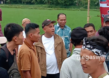 Antisipasi Krisis Regenerasi, DPRD Dorong Pembangunan 110 Irigasi untuk Petani Bogor