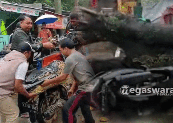 Angin Kencang Robohkan Pohon Timpa Motor di Cibinong