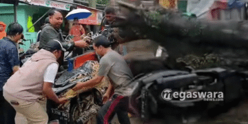 Angin Kencang Robohkan Pohon Timpa Motor di Cibinong
