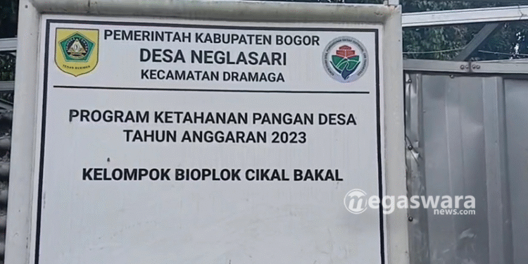 Budidaya Gurame Soang Bioflok di Dramaga Berhasil Berkembang