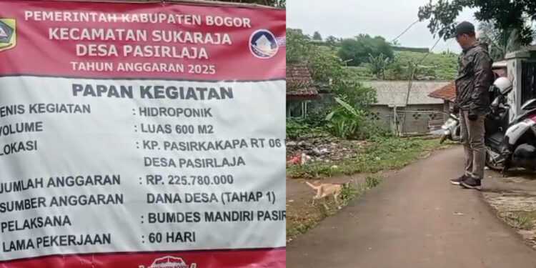 Desa Pasir Laja Bangun Sarana Hidroponik Dan Jalan Pakai Dana Add