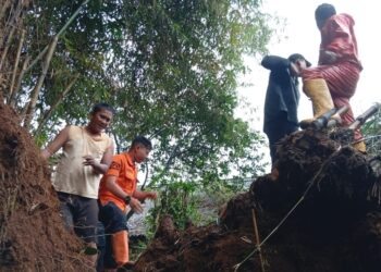 Lapuk, Rumah Bambu di Kelurahan Nanggeleng Kota Sukabumi Ambruk