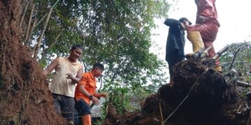 Lapuk, Rumah Bambu di Kelurahan Nanggeleng Kota Sukabumi Ambruk