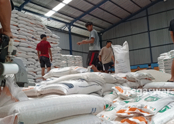 Stok Beras Bulog Dramaga Aman Jelang Natal dan Tahun Baru