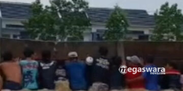 Pagar Beton Perumahan Diduga Picu Banjir dan Gagal Panen di Tenjo Bogor, Petani Bongkar Paksa