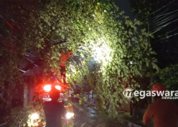 Pohon tumbang tutup jalan pemuda kota sukabumi