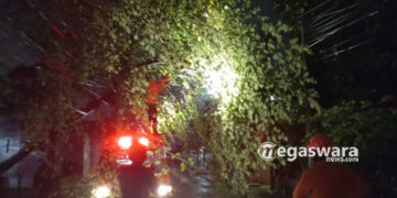 Pohon tumbang tutup jalan pemuda kota sukabumi
