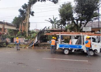 Pohon Tua di Area Makan Eyang Cikundul Tumbang, Jaringan Listrik Sempat Padam