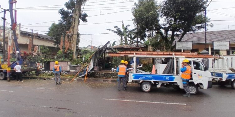 Pohon Tua di Area Makan Eyang Cikundul Tumbang, Jaringan Listrik Sempat Padam