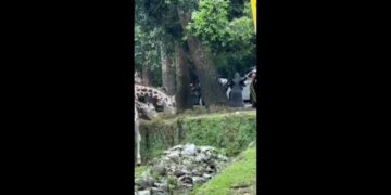 Pengunjung TSI Nekat masuk ke kandang Jerapah
