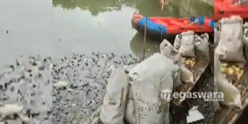 sungai citongtut keracunan