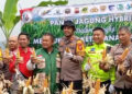 Polsek Babakan Madang Panen Satu Ton Jagung