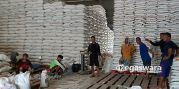 Bulog Salurkan Bantuan Pangan,Ada Peningkatan Jumlah Penerima Hingga 82,3%